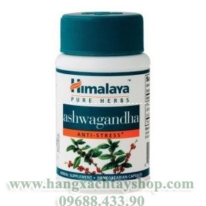 New0019himalaya-ashwagandha-hangxachtayshop