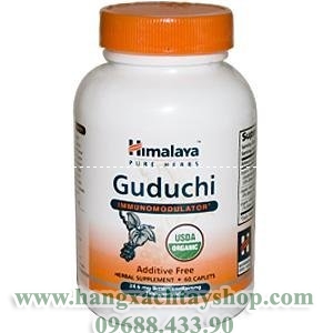 guduchi-immunomodulator-hangxachtayshop