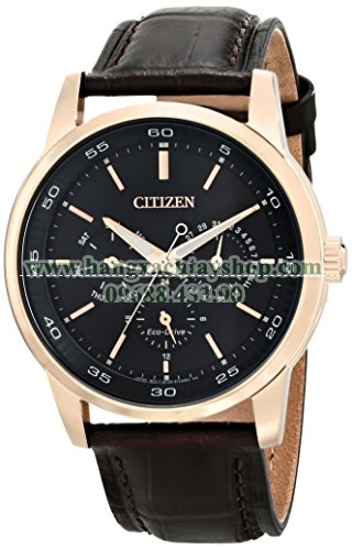 Citizen BU2013-08E Eco-Drive Gold-Tone Watch with Brown Leather Band-hangxachtayshop Citizen BU2013-08E Eco-Drive Gold-Tone Watch with Brown Leather Band-hangxachtayshop