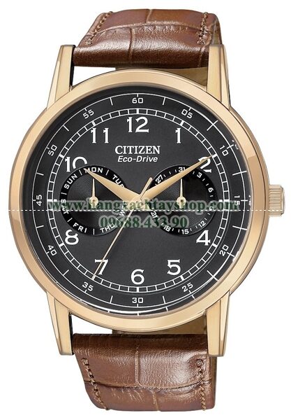 Citizen Nam AO9003-08E Eco-Drive Rose Gold Tone Day-Date-hangxachtayshop