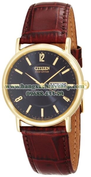 Citizen Nam BM8242-08E Eco-Drive Gold-Tone-hangxachtayshop